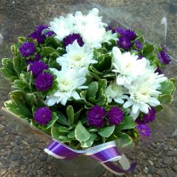 בוקה למשפחה